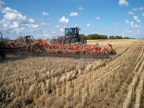 Direct seeding canola into wheat stubble signifying the need for a seeding rate and seed cost calculator