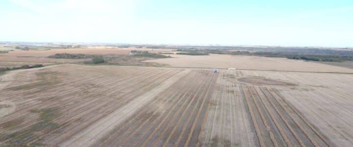 Harvesting on-farm field scale canola trials in fall