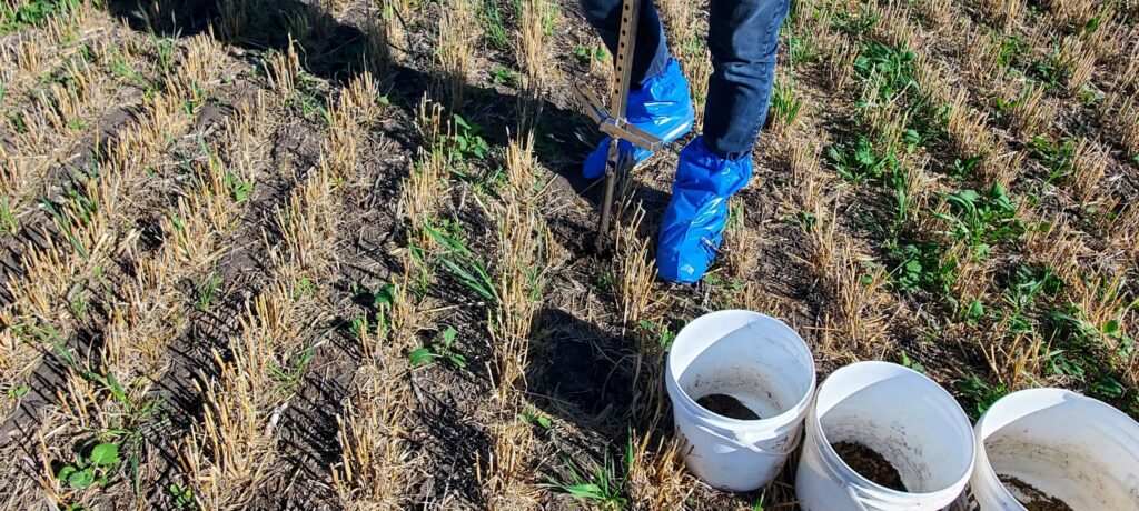 Fall soil sampling in a field