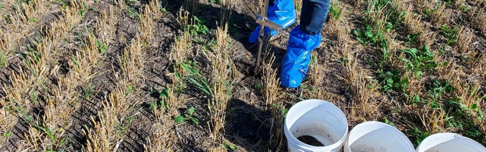 Fall soil sampling in a field